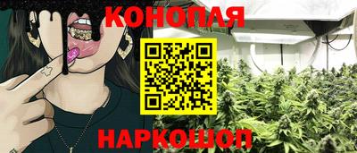 сатива Кулебаки