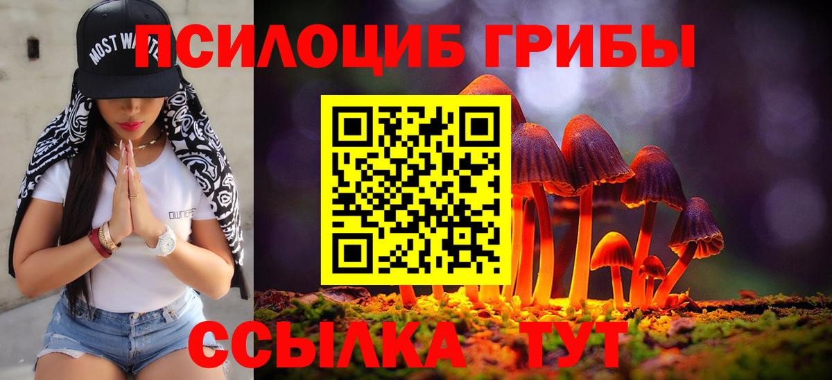 Галлюциногенные грибы Psilocybe Ишимбай