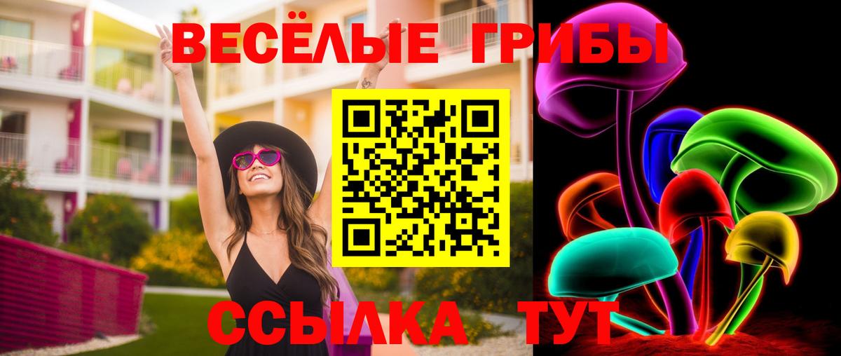 цены наркотик  Галлюциногенные грибы Psilocybine cubensis  Вход с VPN  Ишимбай 